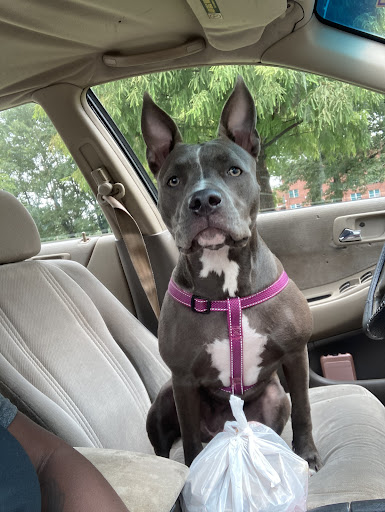 Pet Supply Store «PetSmart», reviews and photos, 8660 Airline Hwy, Baton Rouge, LA 70815, USA