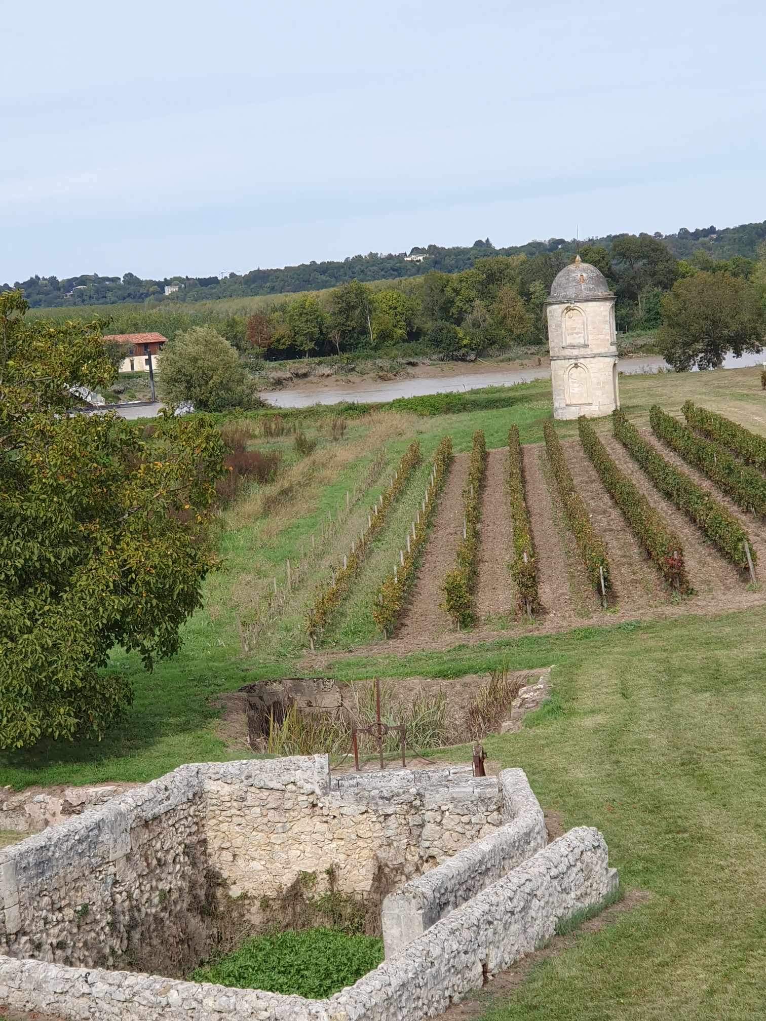 Photo n° 7 de l'avis de stéphane.a fait le 16/10/2023 à 04:20