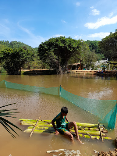 Farm _ Lâm Cao Nguyên
