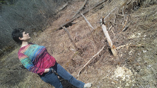 Nature Preserve «Centennial Woods Natural Area», reviews and photos, I-89, Burlington, VT 05401, USA