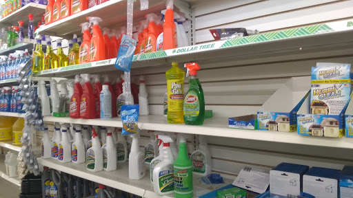 Dollar Store «Dollar Tree», reviews and photos, 7709 W Roosevelt Rd, Forest Park, IL 60130, USA