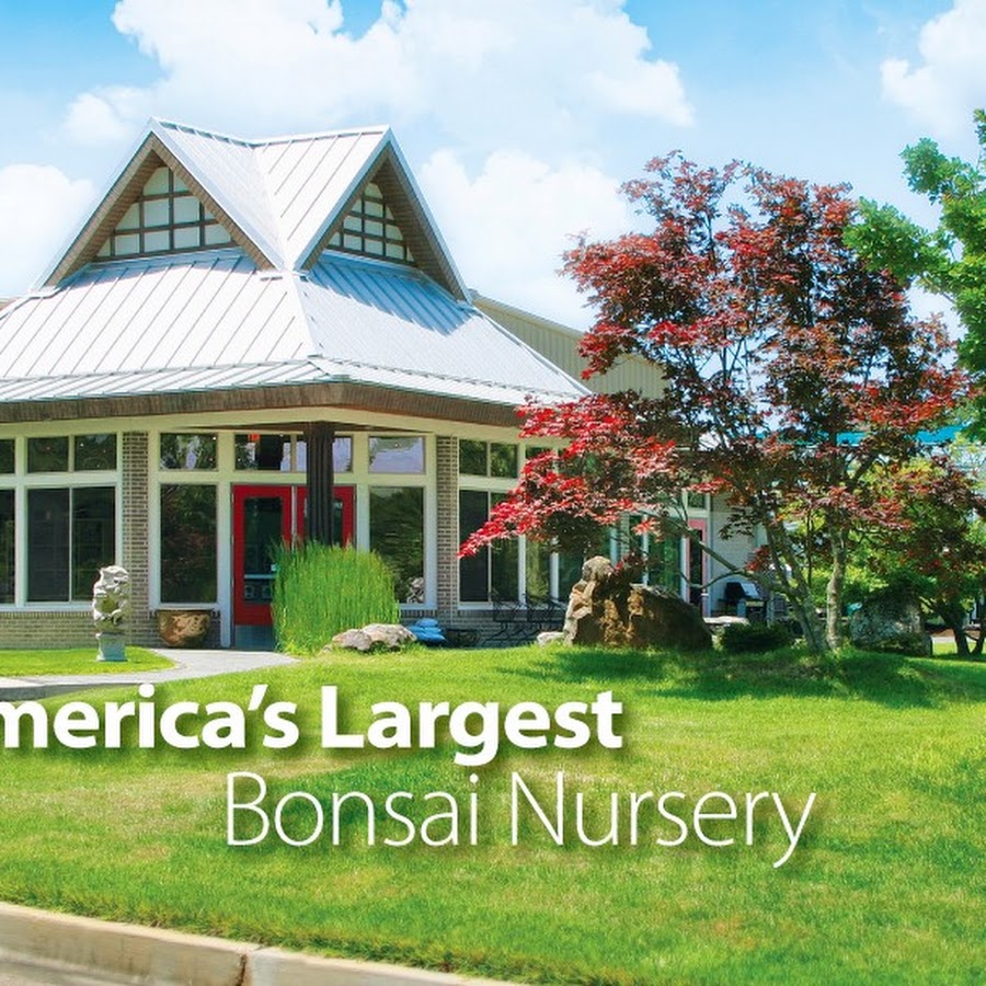 Brussel's Bonsai Nursery, LLC
