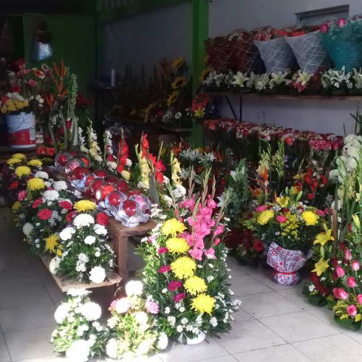 Florería D’Olga – Cárdenas