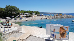 Dog's Beach Politin'in fotoğrafı kısmen otel alanı