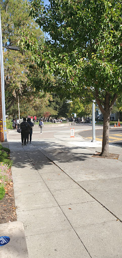 Bellarmine College Prep Parking