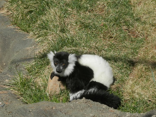 Zoo «Brandywine Zoo», reviews and photos, 1001 N Park Dr, Wilmington, DE 19802, USA