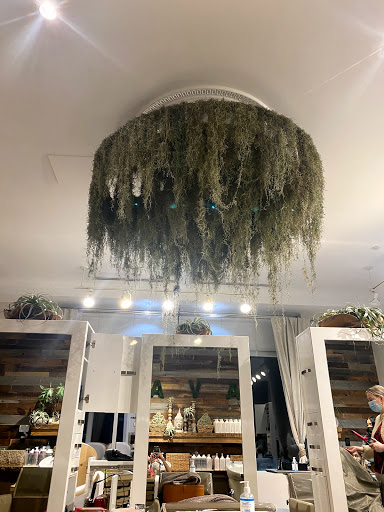 Beauty Salon «Gavali Salon», reviews and photos, 2475 Black Rock Turnpike, Fairfield, CT 06825, USA