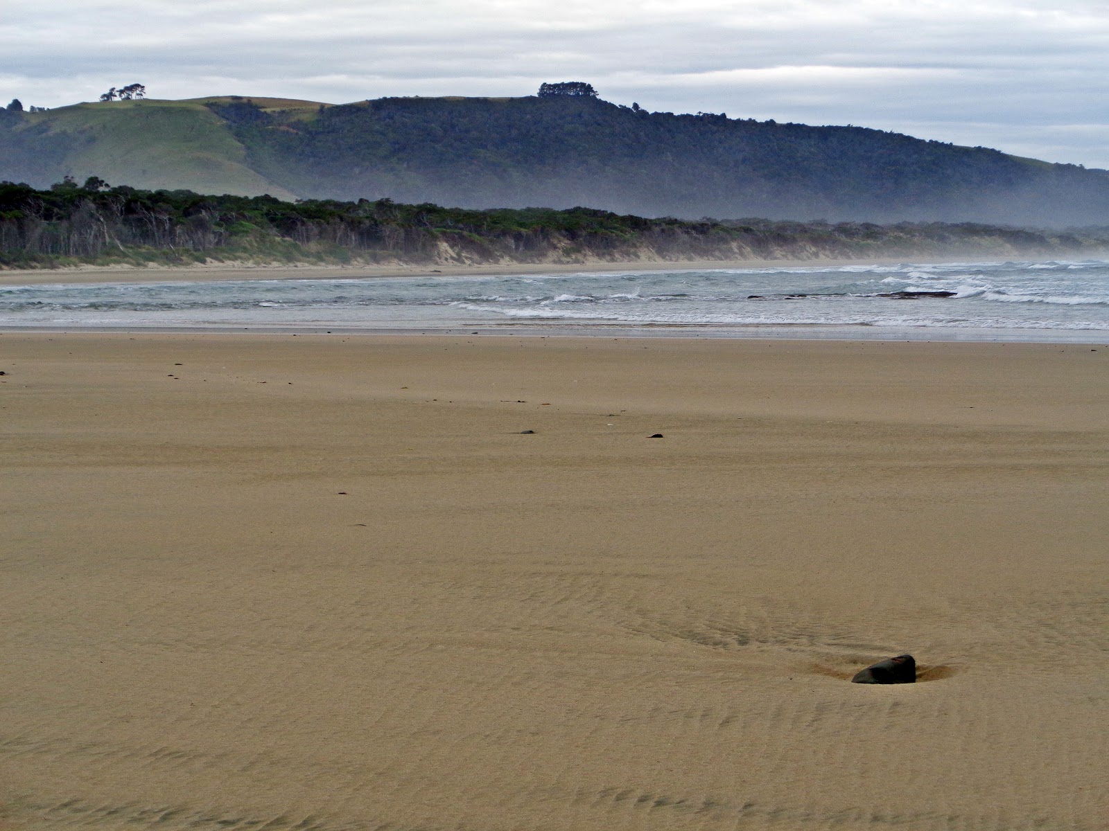 Photo de Tahakopa Beach zone des équipements