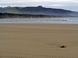 Photo de Tahakopa Beach zone des équipements