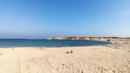 Marsa aassalaia