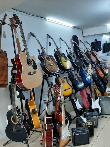 Opiniones de ProMusic A & E - Instrumentos Musicales en Guayaquil - Tienda de instrumentos musicales
