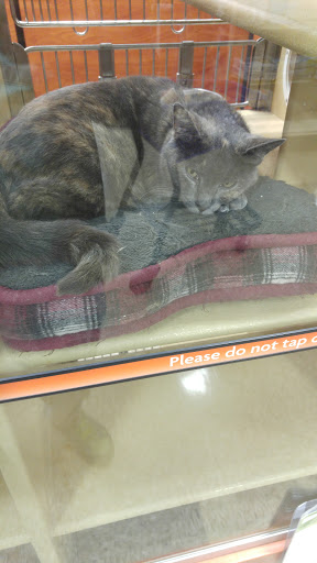 Pet Supply Store «PetSmart», reviews and photos, 950 Hanes Mall Blvd, Winston-Salem, NC 27103, USA