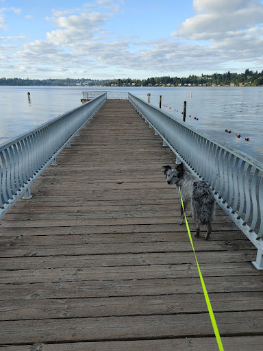 Park «Lundeen Park», reviews and photos, 10020 Lundeen Park Way, Lake Stevens, WA 98258, USA