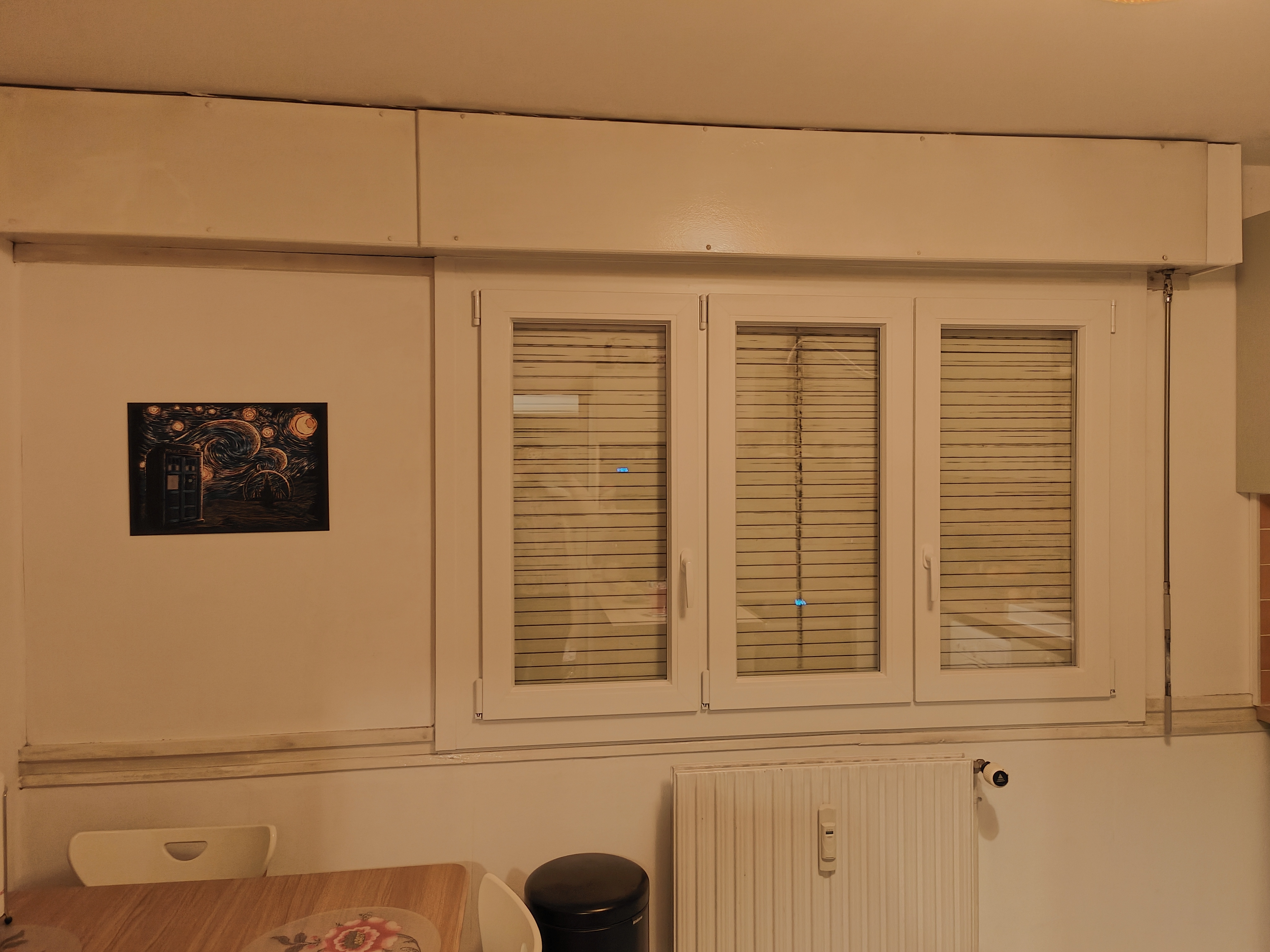 Photo n° 1 de l'avis de Ambre.' fait le 20/01/2023 à 16:14