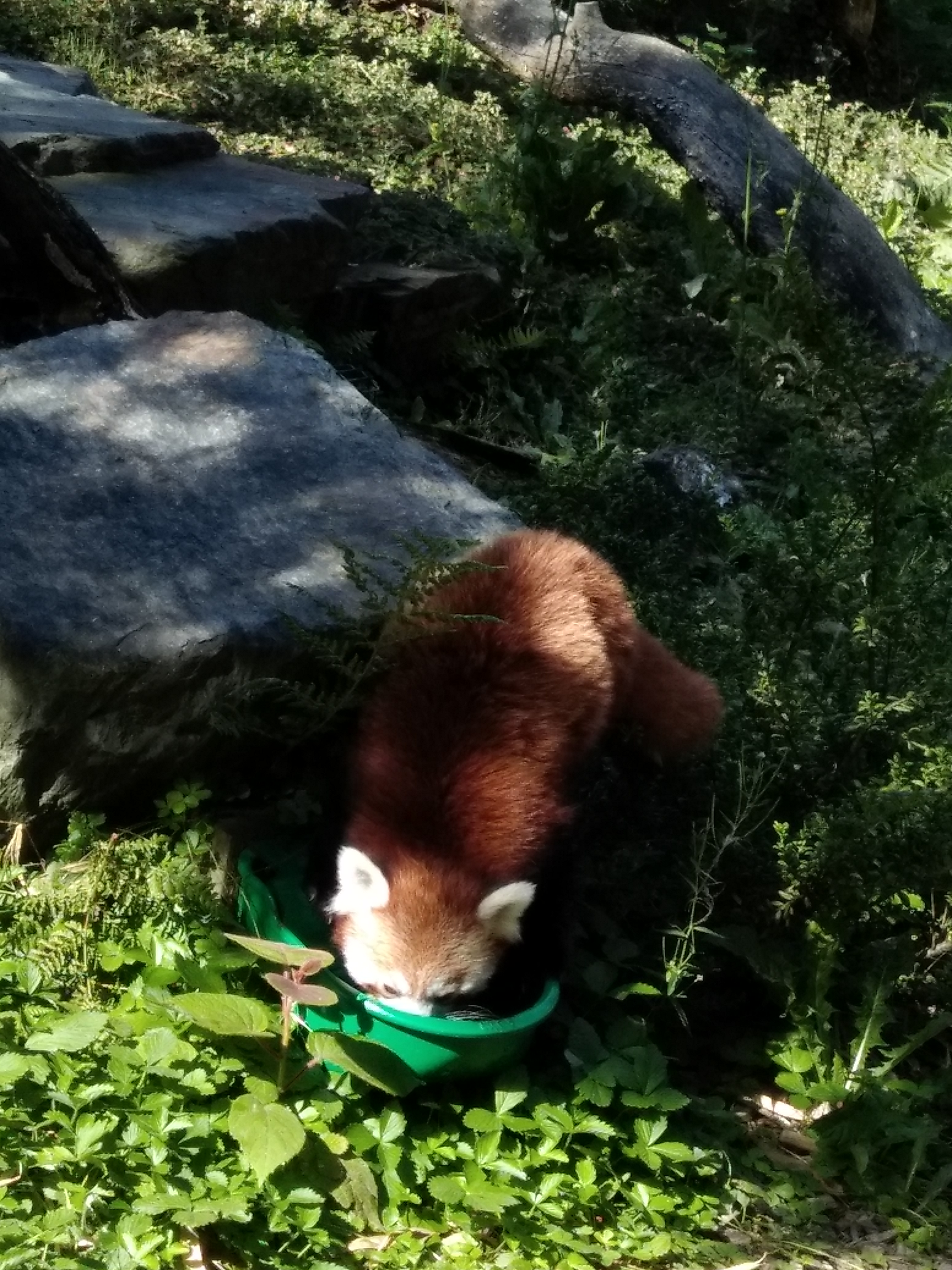 Photo n° 27 de l'avis de carine.a fait le 25/08/2019 à 20:31