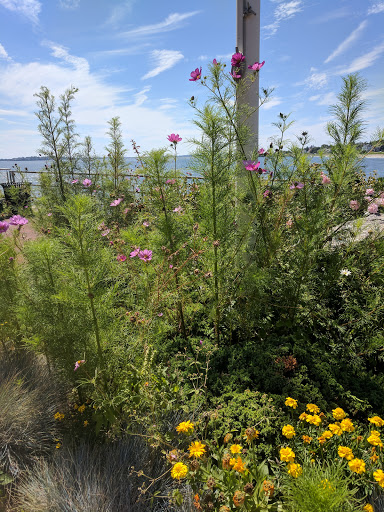 Water Sports Equipment Rental Service «Ocean House Surf & Skate», reviews and photos, 128 Humphrey St, Swampscott, MA 01907, USA