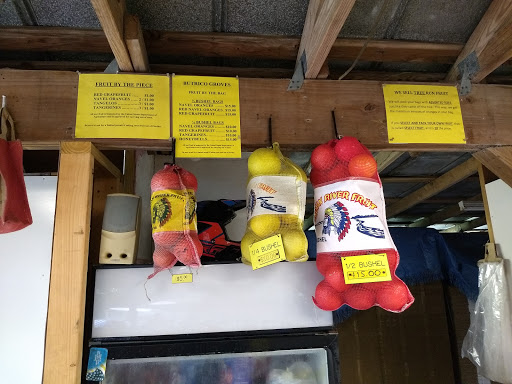 Farm «Butrico Groves Orange Grove», reviews and photos, 6065 Magnolia St, Mims, FL 32754, USA