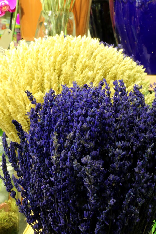 Flores Daguerre
