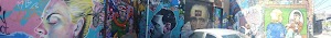 Vulpes Bastille - photo 12