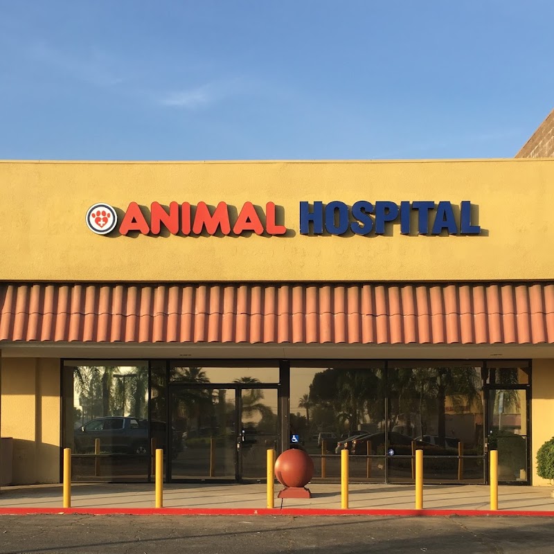 Inland Central Animal Hospital