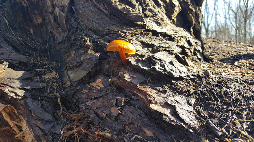 Nature Preserve «Wolf Creek Environmental Center», reviews and photos, 6100 Ridge Rd, Wadsworth, OH 44281, USA