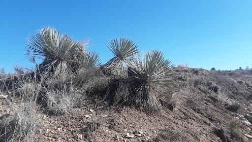 Golf Course «Prescott Country Club», reviews and photos, 1030 Prescott Country Club Blvd, Dewey, AZ 86327, USA