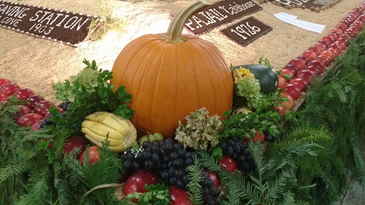 Association or Organization «Mendocino County Fair and Apple Show», reviews and photos