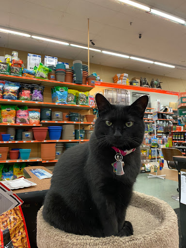 Hardware Store «Aubuchon Hardware», reviews and photos, 47 Hinesburg Rd, South Burlington, VT 05403, USA