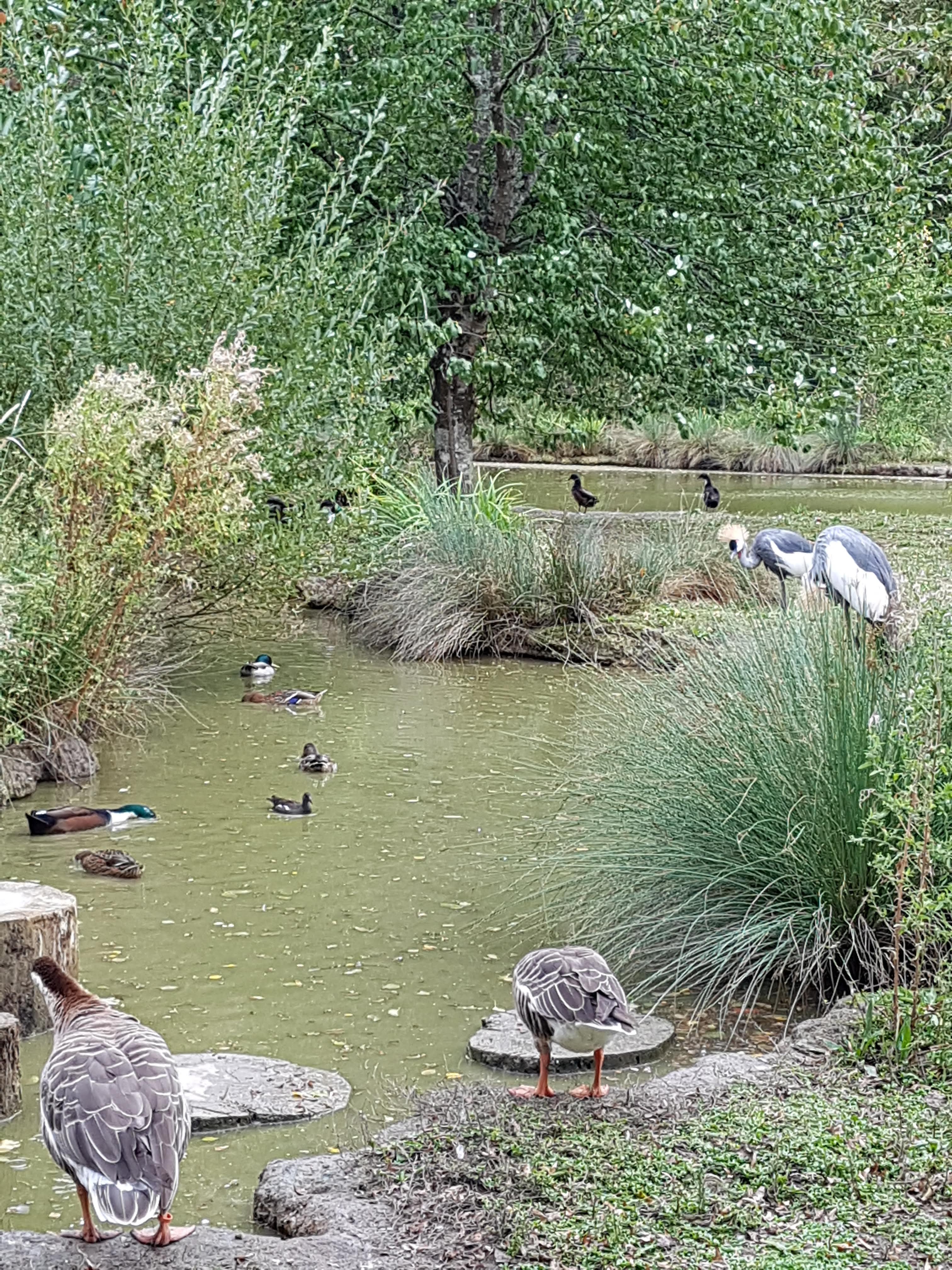 Photo n° 6 de l'avis de Gwid.a fait le 14/10/2019 à 08:45