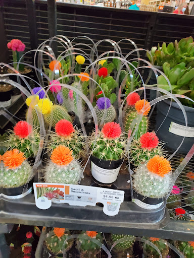 Home Improvement Store «The Home Depot», reviews and photos, 1131 W Gannon Dr, Festus, MO 63028, USA