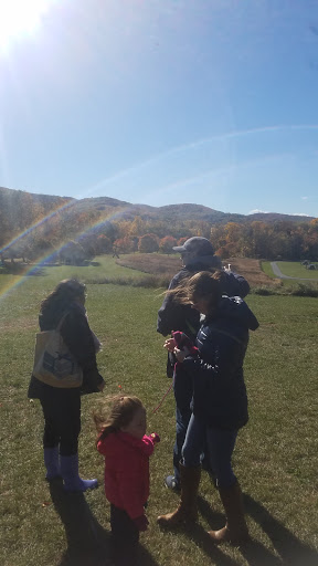 Art Center «Storm King Art Center», reviews and photos, 1 Museum Rd, New Windsor, NY 12553, USA