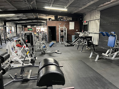 Gorilla Bench Training Center - 18562 US Hwy 19 N, Clearwater, FL 33764