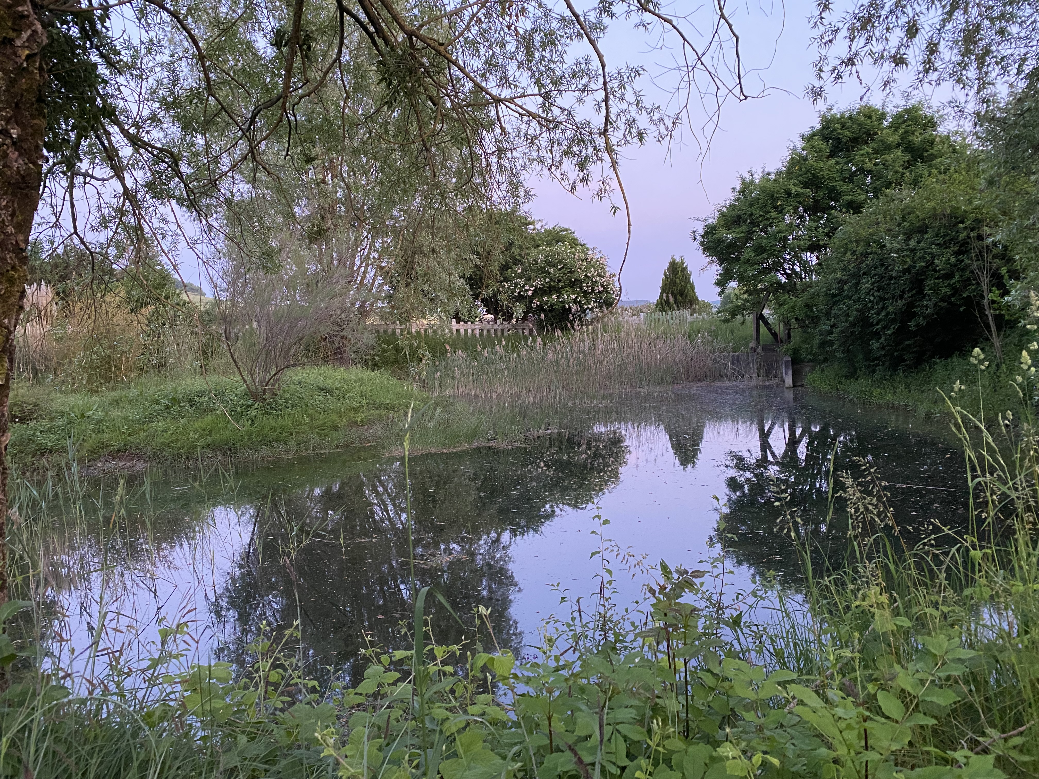 Photo n° 3 de l'avis de Aurélien.. fait le 29/05/2023 à 19:08