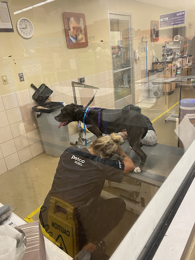 Pet Supply Store «Petco Animal Supplies», reviews and photos, 28400 Dequindre Rd, Warren, MI 48092, USA