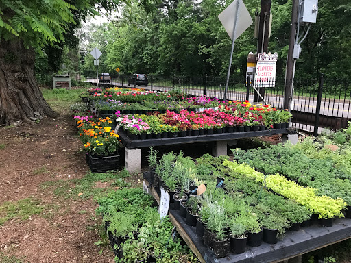 Garden Center «Chestnut Hill Flower & Garden», reviews and photos, 7639 Germantown Ave, Philadelphia, PA 19118, USA
