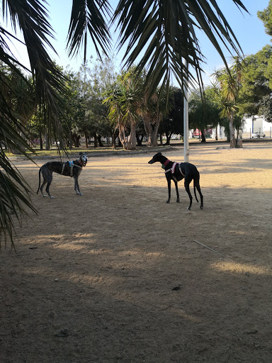 Parques para perros Alicante
