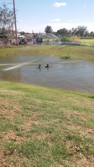 Bulldog Championship Park - photo 21