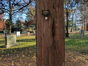 Swan Point Cemetery - photo 10