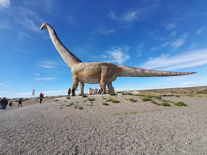 Animal Travel - Agencia de viajes en Puerto Madryn, Chubut, Argentina
