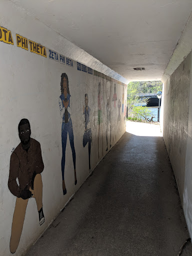 Public University «The University of Iowa», reviews and photos