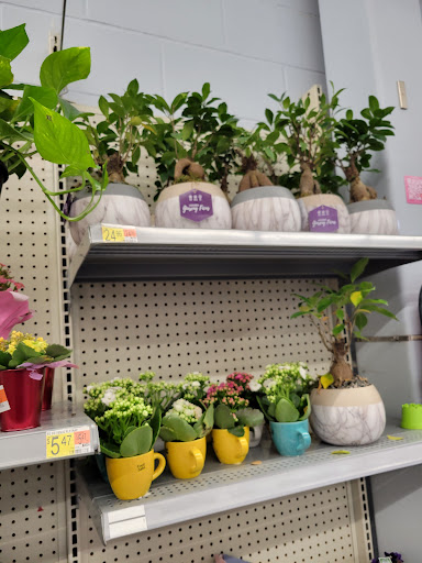 Department Store «Walmart Supercenter», reviews and photos, 8000 Lakeland Ave N, Brooklyn Park, MN 55445, USA