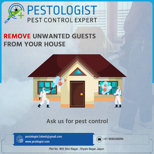 Pestologist Pest Control Expert