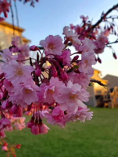 Park «Gough Park», reviews and photos, 9300 Honeygo Blvd, Perry Hall, MD 21128, USA