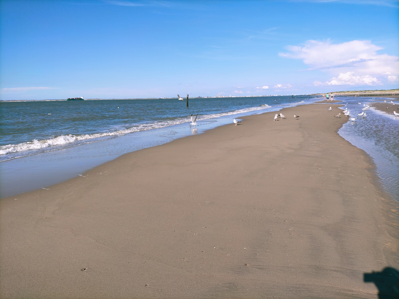 Photo de Groede Zeeland Strand zone des équipements