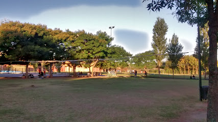 Campo Municipal de Deportes N°5