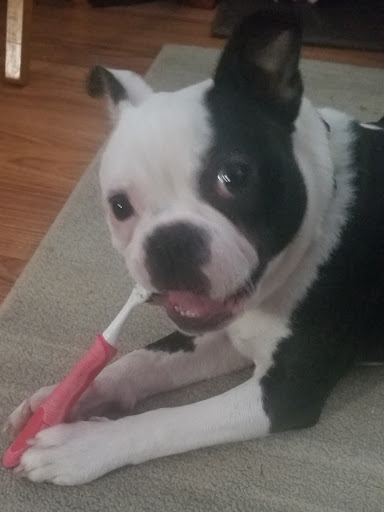 Pet Supply Store «Cherry Valley Feed & Supplies», reviews and photos, 1595 S Bell School Rd, Cherry Valley, IL 61016, USA