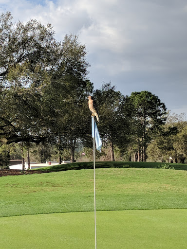 Public Golf Course «Hilaman Golf Course», reviews and photos, 2737 Blair Stone Rd, Tallahassee, FL 32301, USA