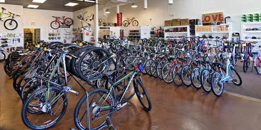 Bicycle Store «Metro Bike», reviews and photos, 46575 Hayes Rd, Shelby Charter Township, MI 48315, USA