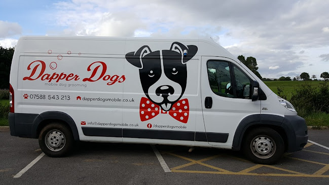 Reviews of Dapper Dogs Mobile Dog Grooming in Manchester - Dog trainer