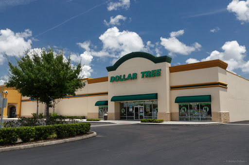 Dollar Store «Dollar Tree», reviews and photos, 13120 US-301 #133, Riverview, FL 33578, USA